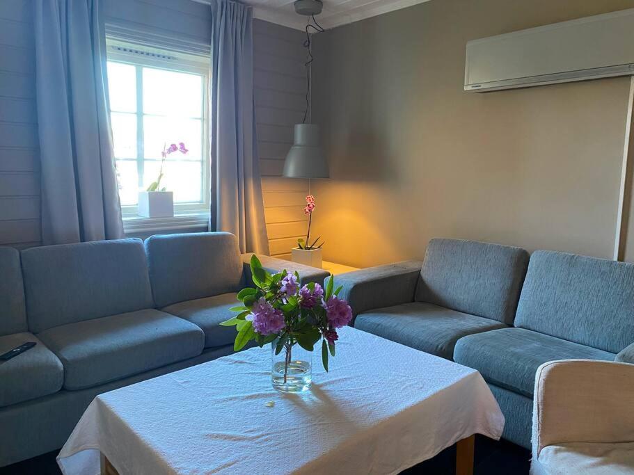 טרונדהיים Cosy And Well-Equipped Apartment With Free Parking מראה חיצוני תמונה