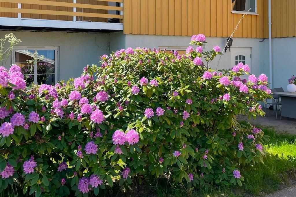טרונדהיים Cosy And Well-Equipped Apartment With Free Parking מראה חיצוני תמונה